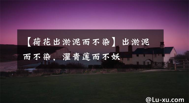 【荷花出淤泥而不染】出淤泥而不染,濯青莲而不妖