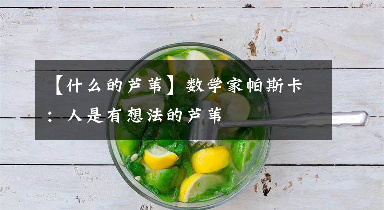 【什么的芦苇】数学家帕斯卡:人是有想法的芦苇