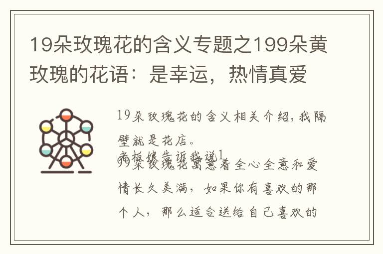 19朵玫瑰花的含义专题之199朵黄玫瑰的花语:是幸运,热情真爱