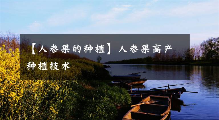 【人参果的种植】人参果高产种植技术