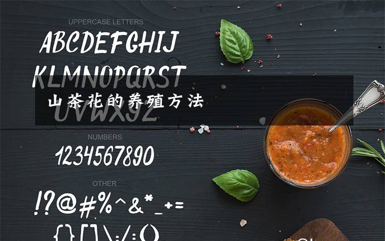 山茶花的养殖方法