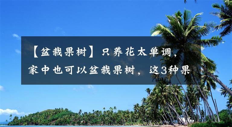 【盆栽果树】只养花太单调,家中也可以盆栽果树,这3种果树,盆栽结果量大