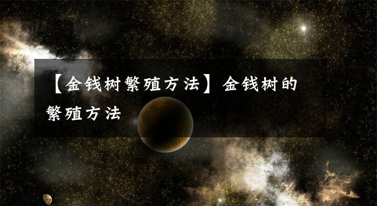 【金钱树繁殖方法】金钱树的繁殖方法