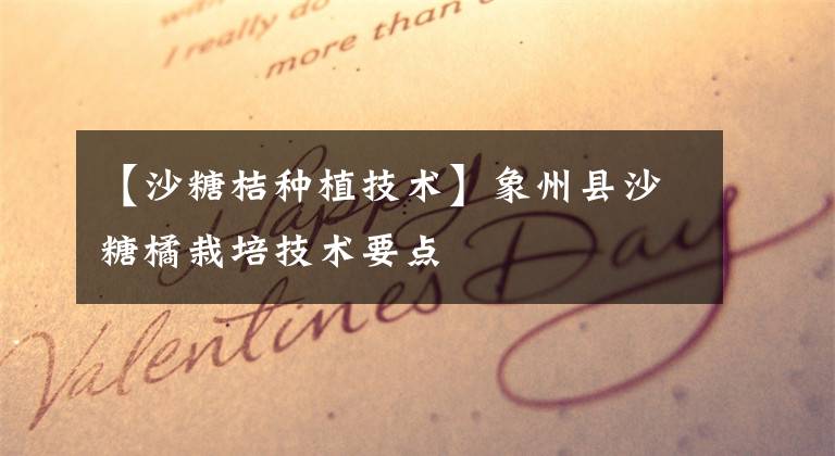 【沙糖桔种植技术】象州县沙糖橘栽培技术要点