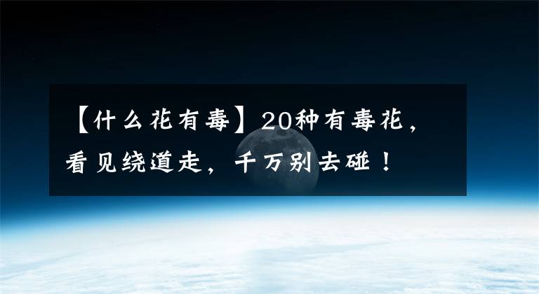【什么花有毒】20种有毒花,看见绕道走,千万别去碰!