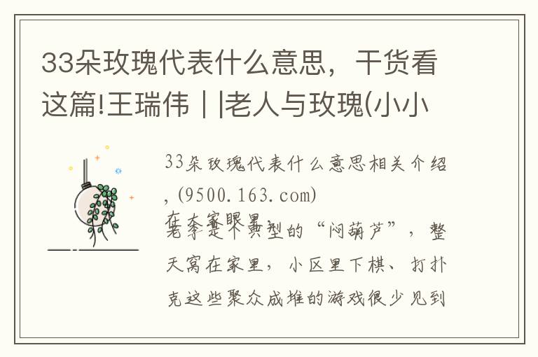 33朵玫瑰代表什么意思,干货看这篇!王瑞伟||老人与玫瑰(小小说)