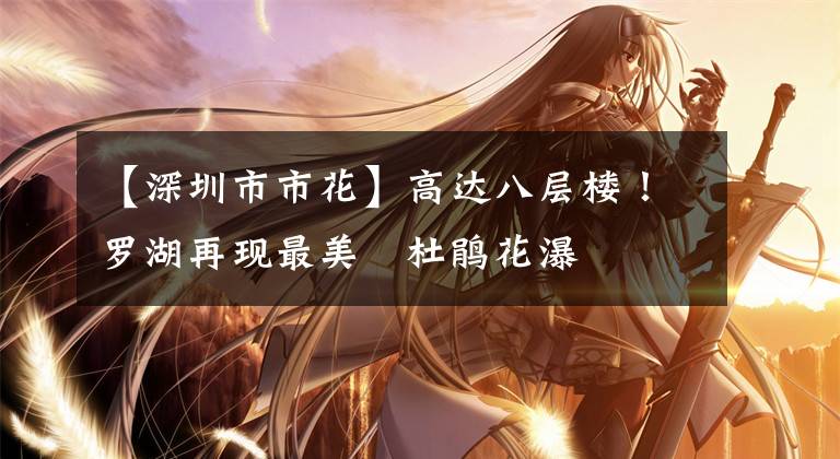 【深圳市市花】高达八层楼!罗湖再现最美簕杜鹃花瀑