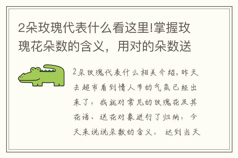 2朵玫瑰代表什么看这里!掌握玫瑰花朵数的含义,用对的朵数送对的人!