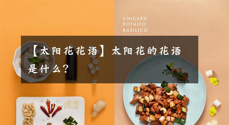 【太阳花花语】太阳花的花语是什么?