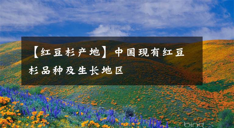 【红豆杉产地】中国现有红豆杉品种及生长地区