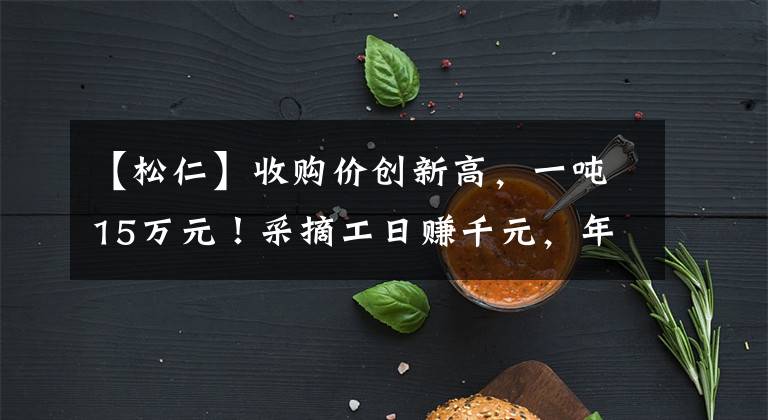 【松仁】收购价创新高,一吨15万元!采摘工日赚千元,年轻人为何不愿干?
