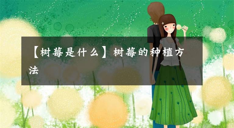 【树莓是什么】树莓的种植方法