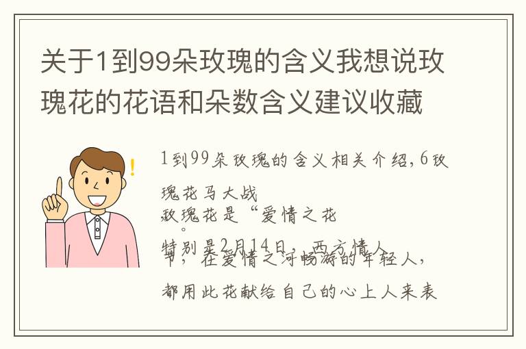 关于1到99朵玫瑰的含义我想说玫瑰花的花语和朵数含义建议收藏