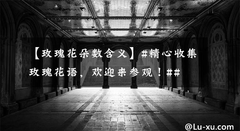 【玫瑰花朵数含义】#精心收集玫瑰花语，欢迎来参观！##