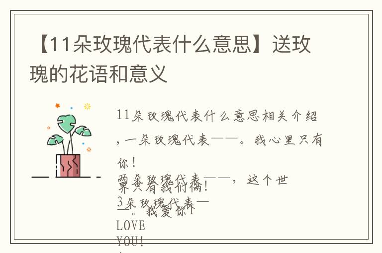 【11朵玫瑰代表什么意思】送玫瑰的花语和意义