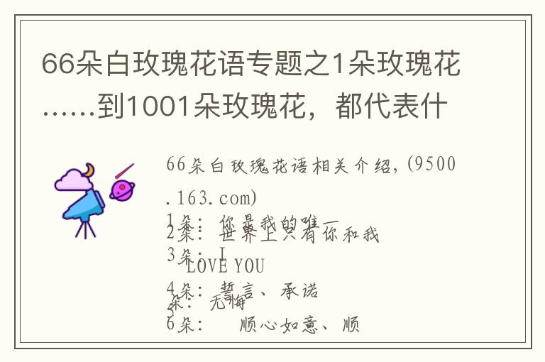 66朵白玫瑰花语专题之1朵玫瑰花……到1001朵玫瑰花,都代表什么,你知道吗?