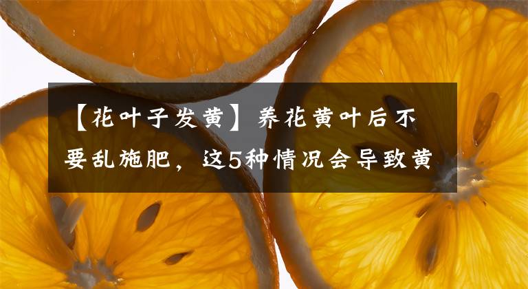 【花叶子发黄】养花黄叶后不要乱施肥，这5种情况会导致黄叶，教你快速挽救植物