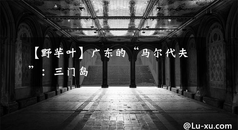 【野芋叶】广东的“马尔代夫”:三门岛