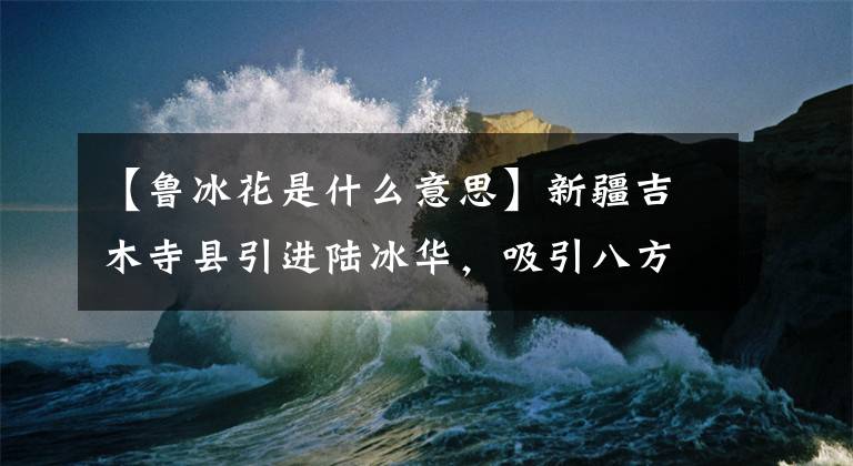 【鲁冰花是什么意思】新疆吉木寺县引进陆冰华,吸引八方游客(图)