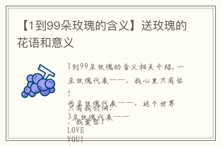 【1到99朵玫瑰的含义】送玫瑰的花语和意义