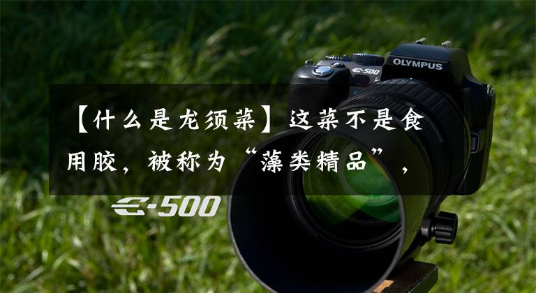 【什么是龙须菜】这菜不是食用胶,被称为“藻类精品”,比肉还养人,再贵也要吃点