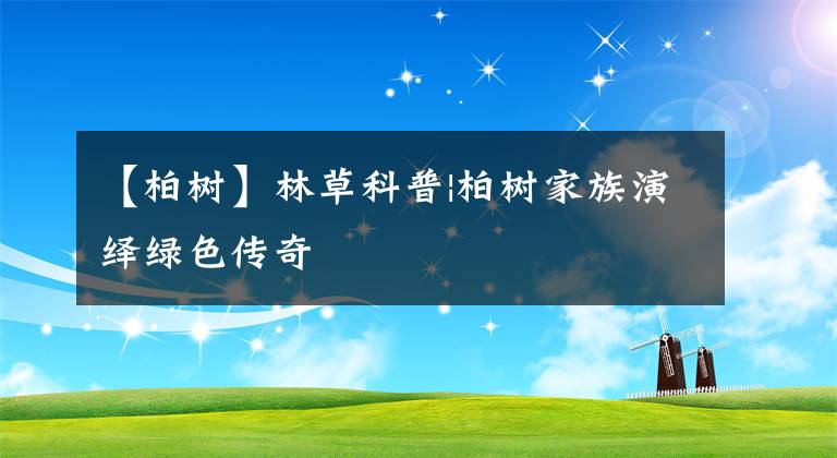 【柏树】林草科普|柏树家族演绎绿色传奇