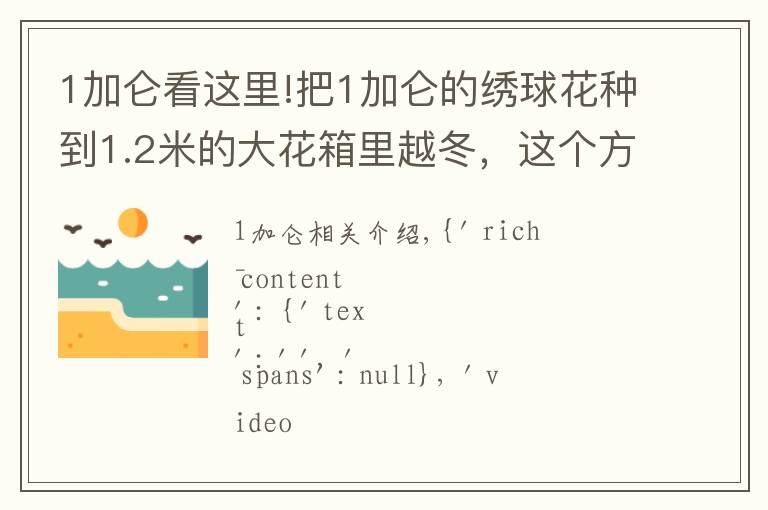 1加仑看这里!把1加仑的绣球花种到1.2米的大花箱里越冬,这个方法怎么样?