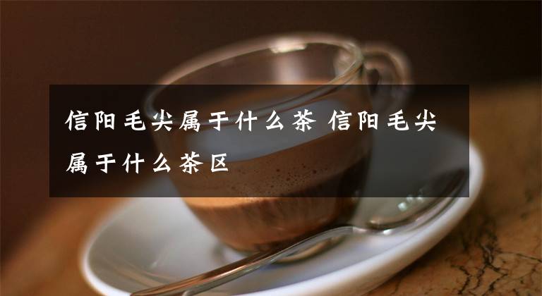 信阳毛尖属于什么茶 信阳毛尖属于什么茶区