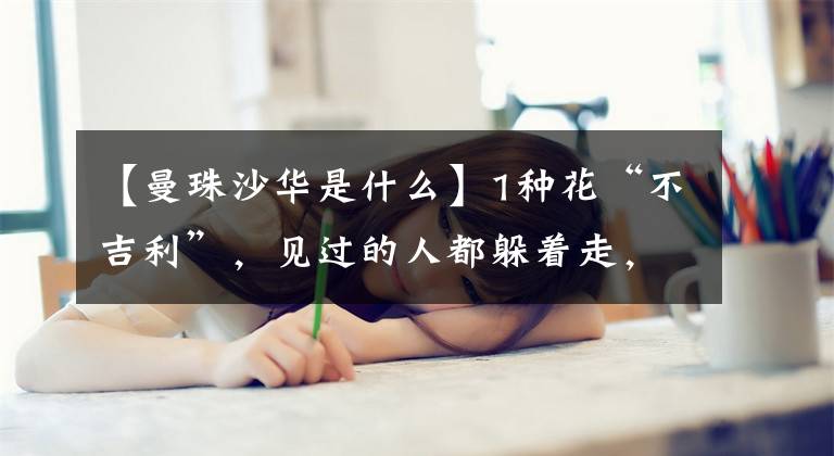【曼珠沙华是什么】1种花“不吉利”，见过的人都躲着走，事实真的如此吗？