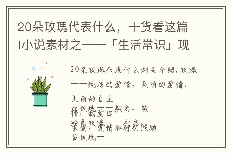 20朵玫瑰代表什么,干货看这篇!小说素材之——「生活常识」现代小说中恋爱必备送花花语