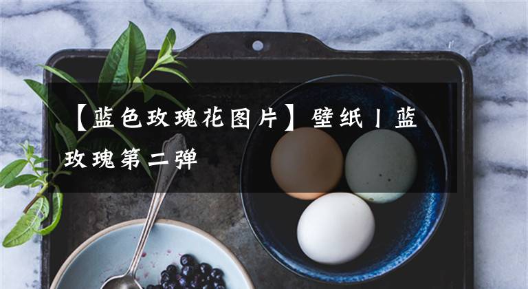 【蓝色玫瑰花图片】壁纸丨蓝玫瑰第二弹