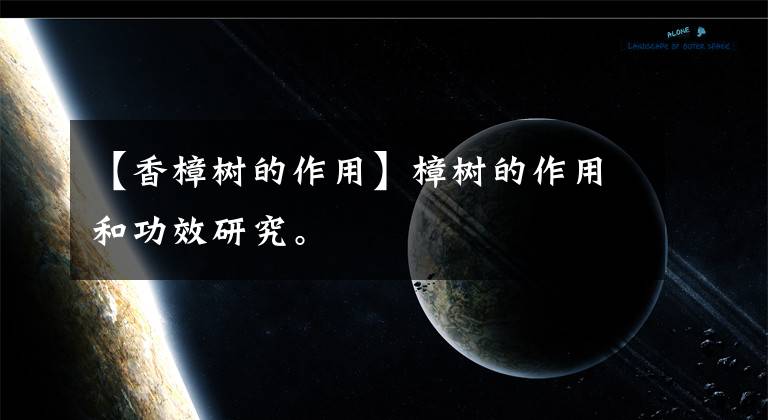 【香樟树的作用】樟树的作用和功效研究。