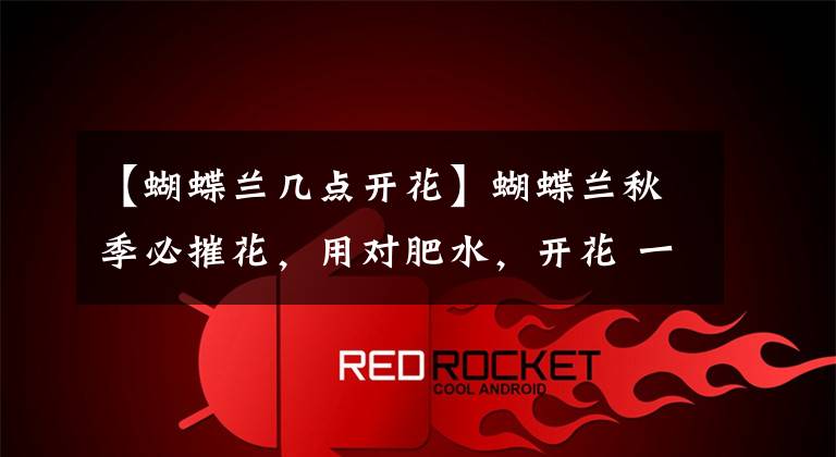 【蝴蝶兰几点开花】蝴蝶兰秋季必摧花,用对肥水,开花 一茬接一茬