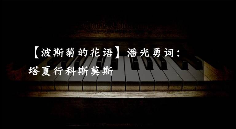 【波斯菊的花语】潘光勇词:塔夏行科斯莫斯