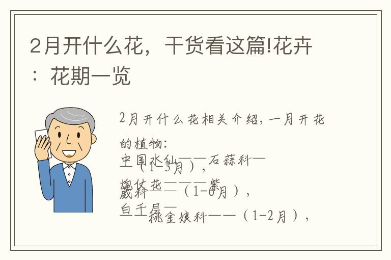 2月开什么花,干货看这篇!花卉:花期一览