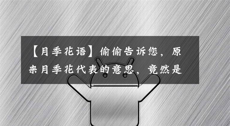 【月季花语】偷偷告诉您，原来月季花代表的意思，竟然是这些！