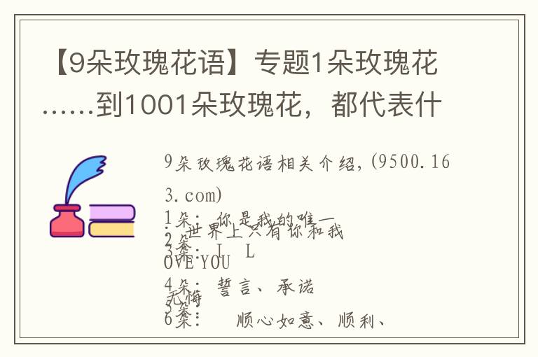 【9朵玫瑰花语】专题1朵玫瑰花……到1001朵玫瑰花,都代表什么,你知道吗?
