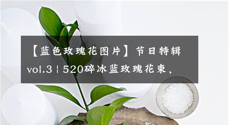【蓝色玫瑰花图片】节日特辑vol.3 | 520碎冰蓝玫瑰花束，再来一波