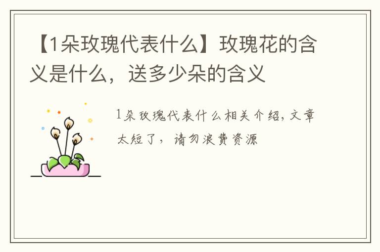 【1朵玫瑰代表什么】玫瑰花的含义是什么,送多少朵的含义