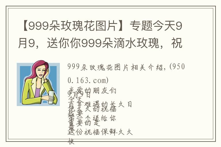 【999朵玫瑰花图片】专题今天9月9,送你你999朵滴水玫瑰,祝你幸福天长地久,早上好