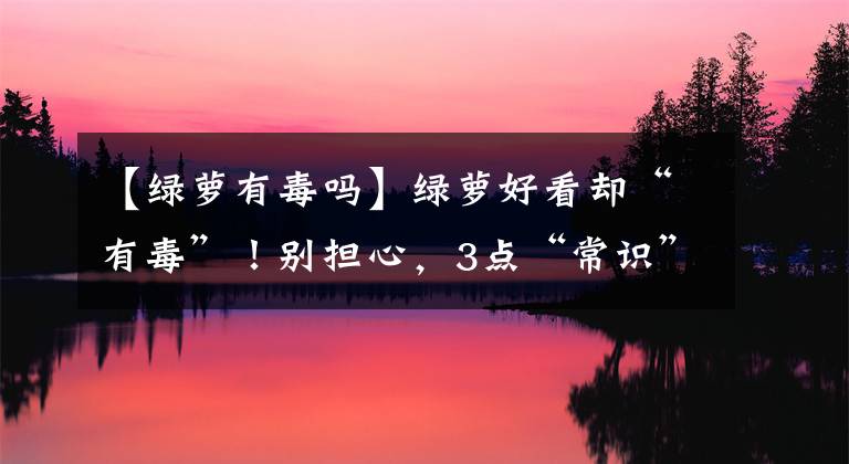 【绿萝有毒吗】绿萝好看却“有毒”！别担心，3点“常识”看清了，放心养