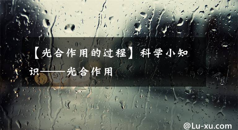 【光合作用的过程】科学小知识——光合作用
