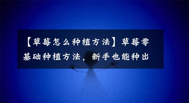 【草莓怎么种植方法】草莓零基础种植方法,新手也能种出好草莓