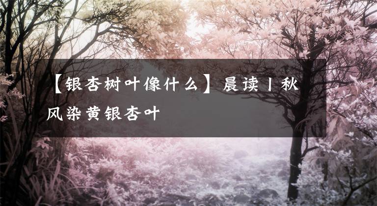 【银杏树叶像什么】晨读丨秋风染黄银杏叶