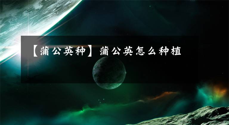 【蒲公英种】蒲公英怎么种植