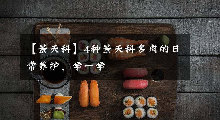 【景天科】4种景天科多肉的日常养护，学一学