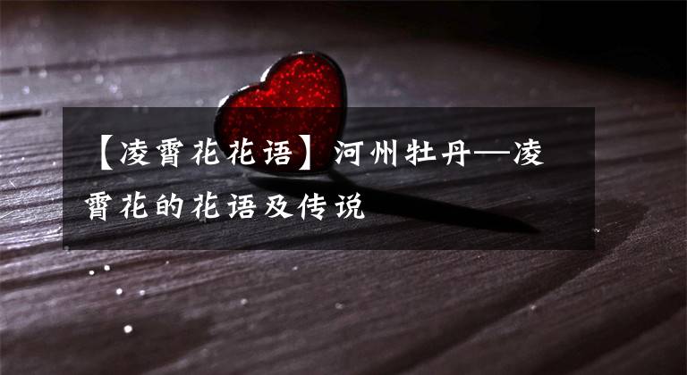 【凌霄花花语】河州牡丹—凌霄花的花语及传说