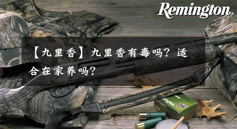 【九里香】九里香有毒吗？适合在家养吗？