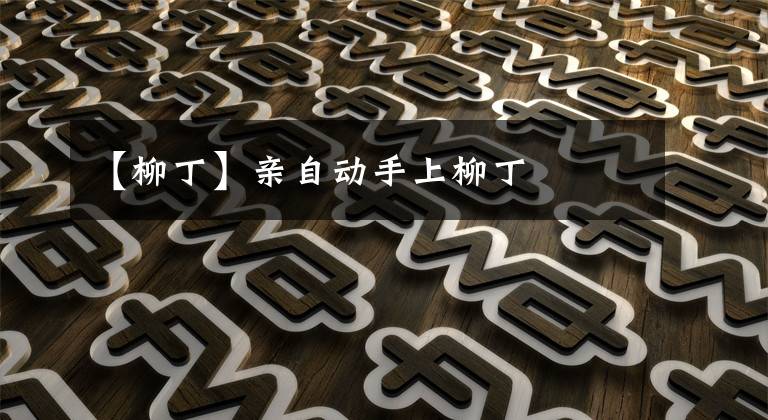 【柳丁】亲自动手上柳丁