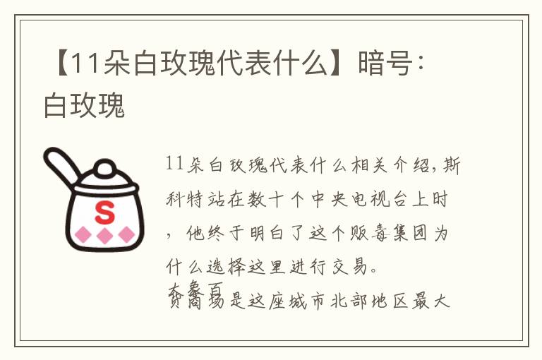 【11朵白玫瑰代表什么】暗号:白玫瑰